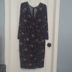 Ann Taylor dress